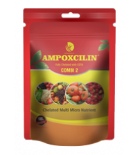 Shamrock Ampoxcilin - Combi 2 Chelated Multi Micronutrient 500 grams